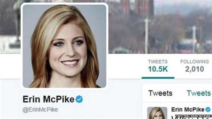 5 Facts To Know About Erin McPike and Her Relationships