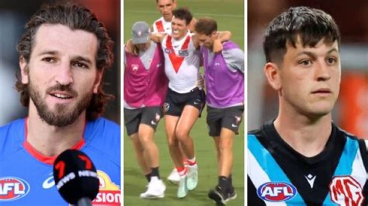 AFL: Who Is Milly Shepherd? Jimmy Bartel New Girlfriend -Everything To Know