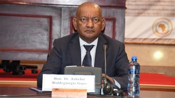 Ashebir Woldegiorgis’s biography, net worth, fact, career, awards and life story