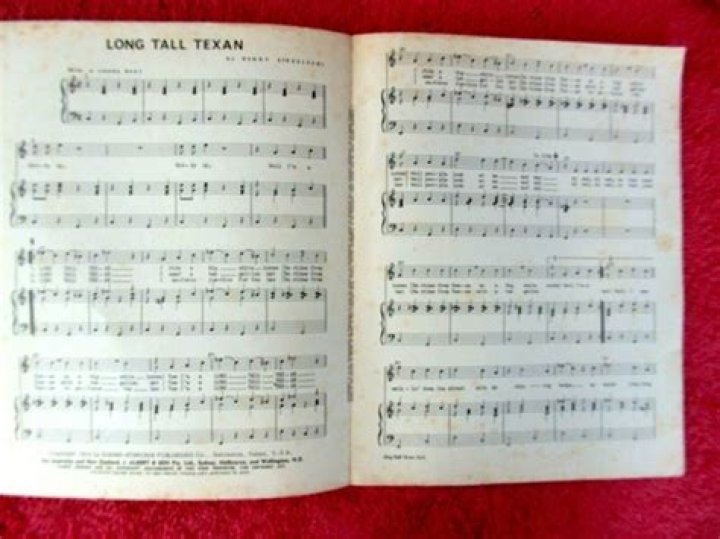 Beach Boys’s
Long, Tall Texan Lyrics
