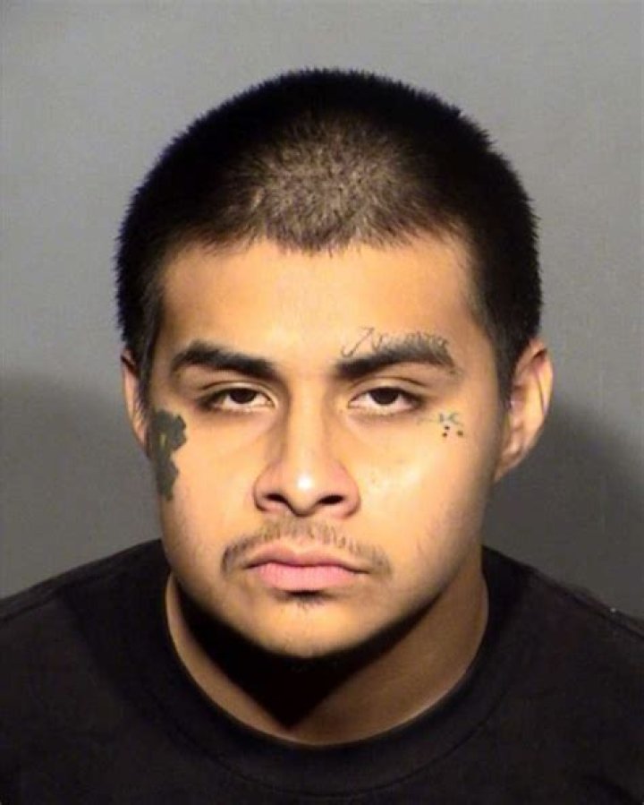 Brian Boyd Biography, Wikipedia- Man Who Allegedly Killed Actor Lisa Banes in NYC Is Arrested in Hit-and-Run Case