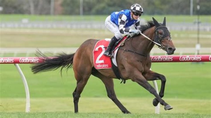 Celine Gaudray Jockey: Everything On Her Age & Wiki