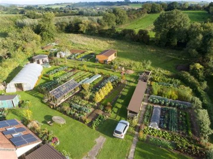 Characteristics of market gardening