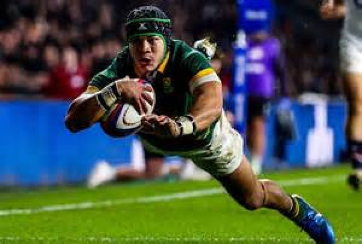 Cheslin Kolbe Height, Weight, Net Worth, Age, Birthday, Wikipedia, Who, Nationality, Biography