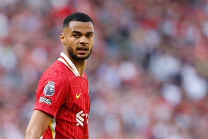 Cody Gakpo Biography: Origin, Age, Position, Parents, Height, Style of Play, Net Worth