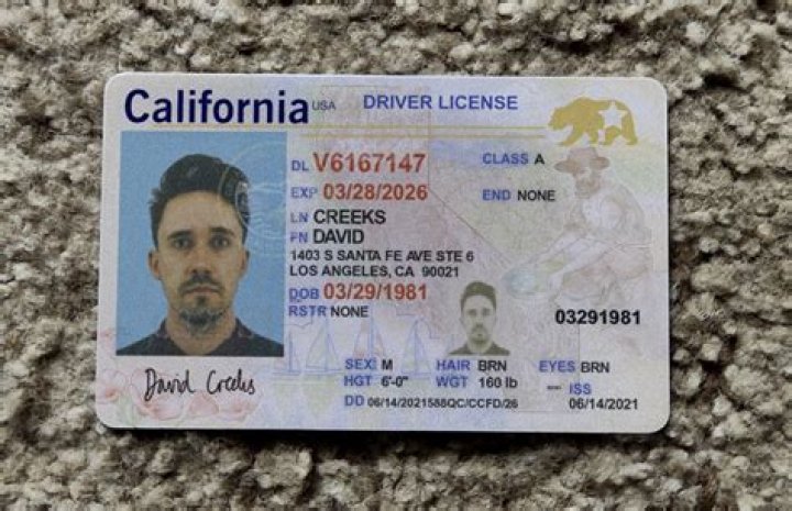 Dan Firkus Trixie Mattel Brother Has A Funny Driver’s License Photo