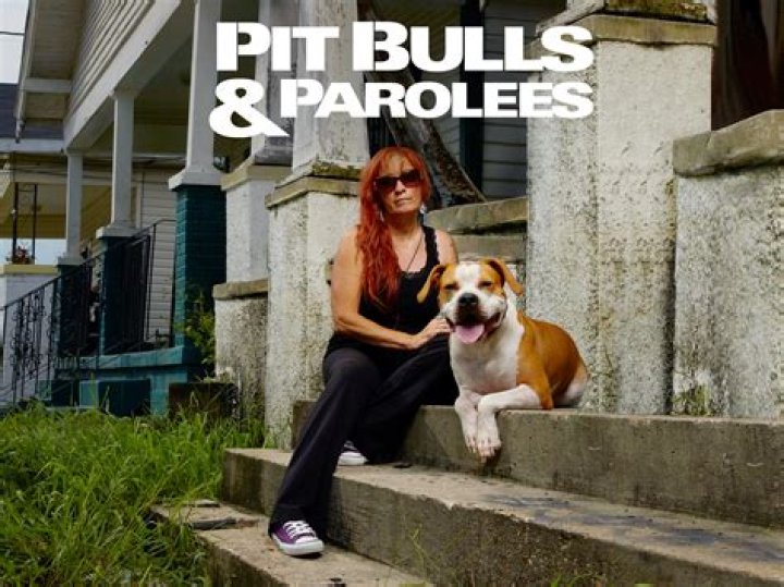 Darius From Pitbulls and Parolees Stopped Working For The Pitbulls and Here Is Why