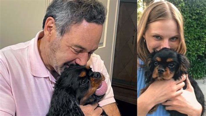 David Frum Net Worth, Salary, Wife, Married, Age, Wiki Biography