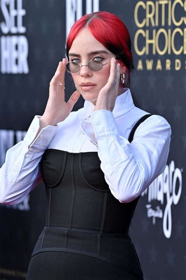 Did Billie Eilish Get a Boob Job?