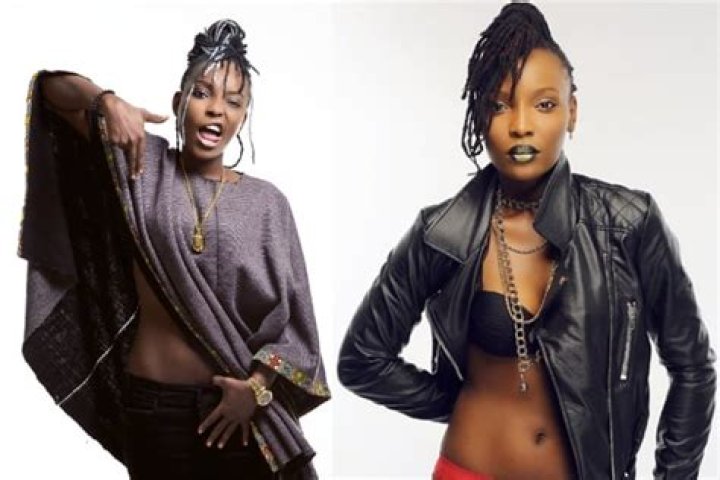 DJ Switch Net Worth And Biography