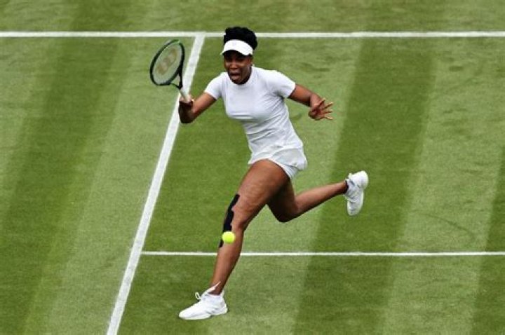 Does Venus Williams Speak French? How Many Languages Does She Speak Actually?