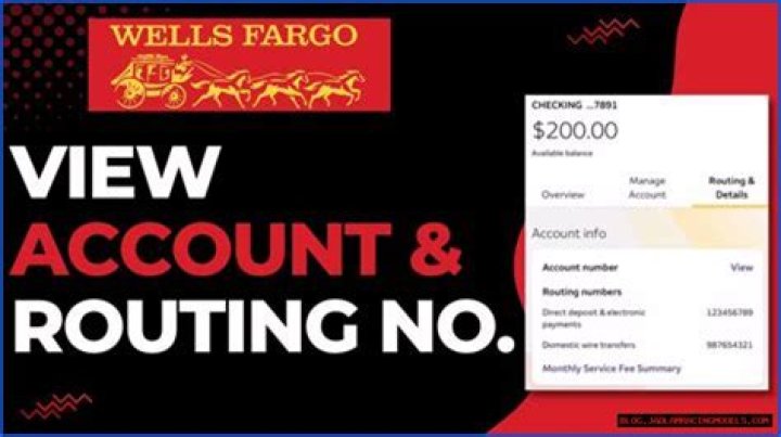 Does wells fargo have accounts for minors