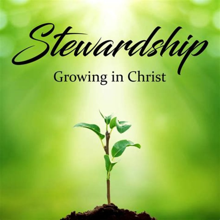 Examples of christian stewardship