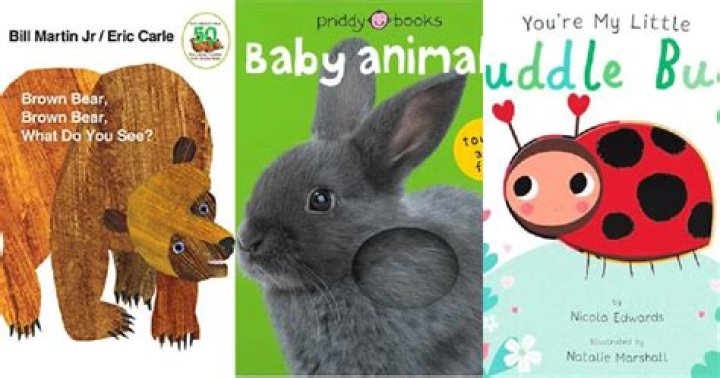 Flirty Flipper: Jill Vitale Husband, Children, Books, Age, Wiki