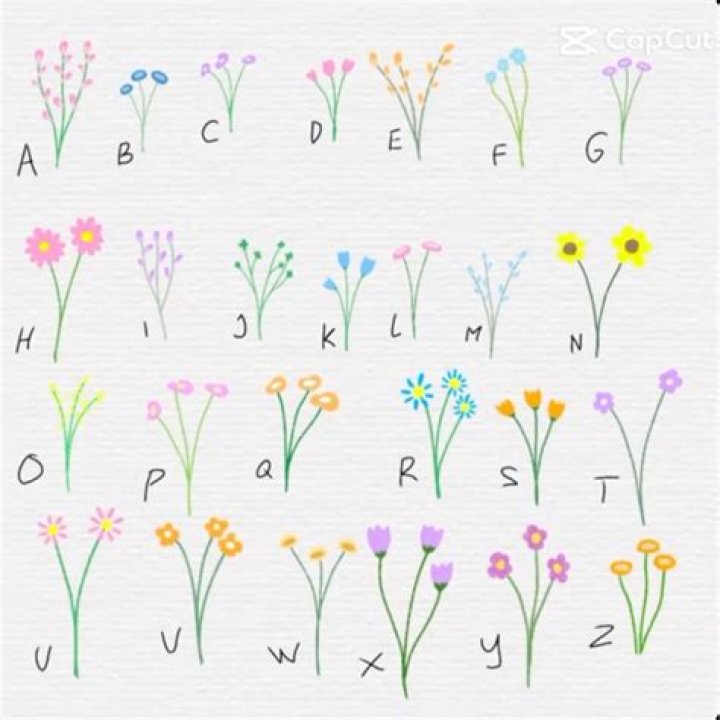 Flower Trend Meaning On TikTok: Flower Drawing With Color Videos Explained