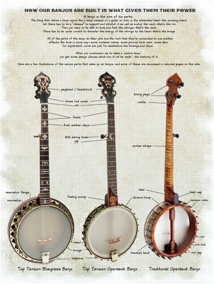 Funso Banjo Wikipedia Age: Everything To Know