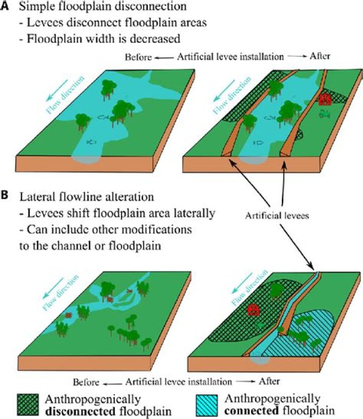 How levees urbanization and other modifications to river systems can worsen flooding
