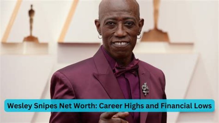 How Much Money Does Wesley Snipes Make? Latest Wesley Snipes Net Worth Income Salary