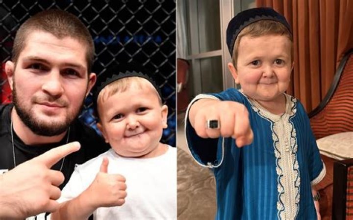 How Old Is General Vgorode aka Hasbulla Magomedov? Meet Him On Instagram