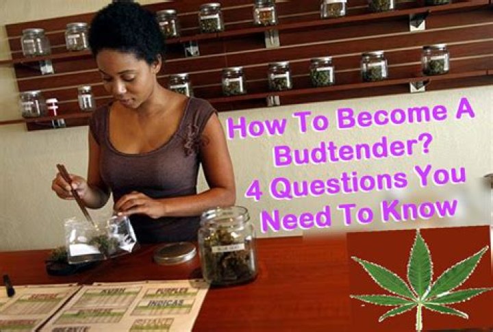 How to become a budtender in pa