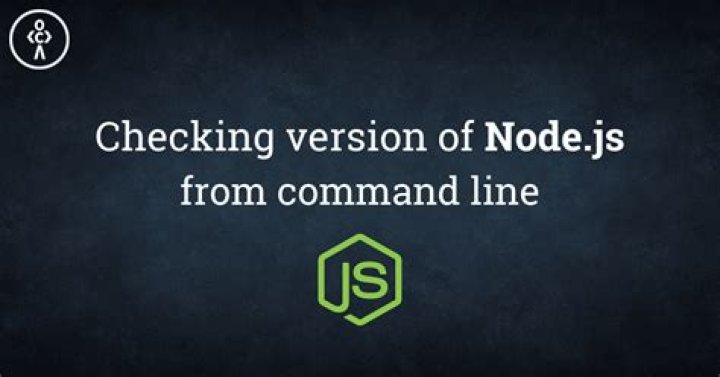 How to check node version