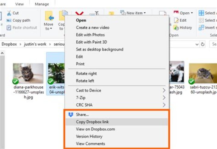 How to create a dropbox link