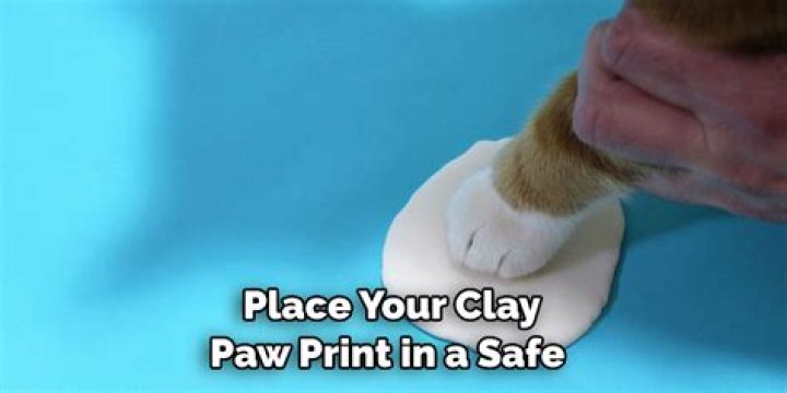 How to preserve clay paw print
