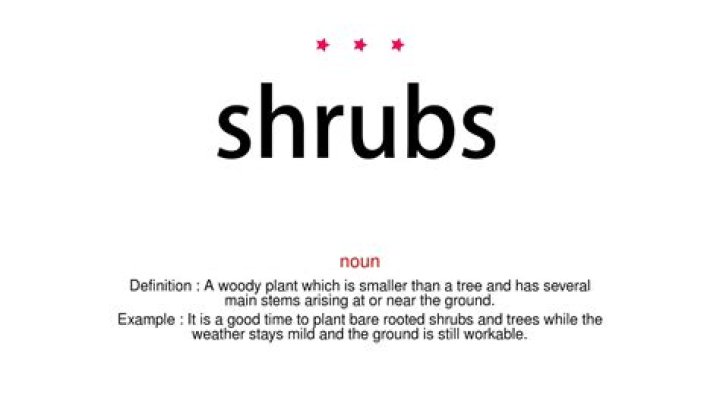 How to pronounce shrubs