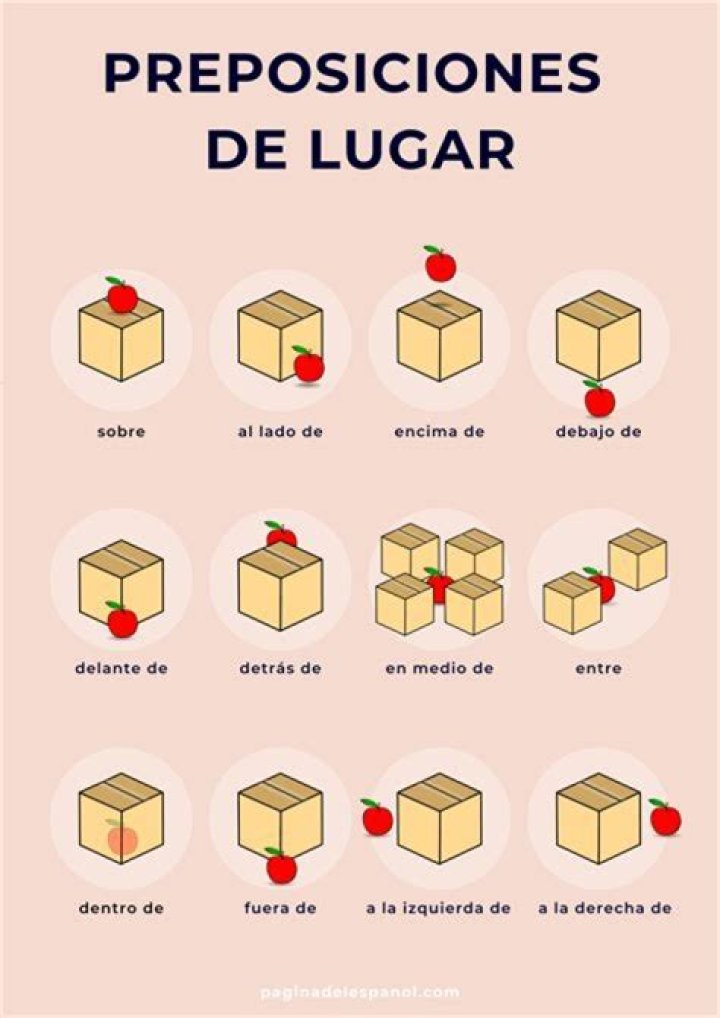 Igor Cavalera’s biography, net worth, fact, career, awards and life story