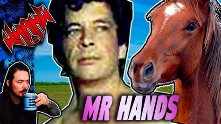 Is There Mr Hands Video On Vimeo? Kenneth Pinyan & James Michael Tait Incident