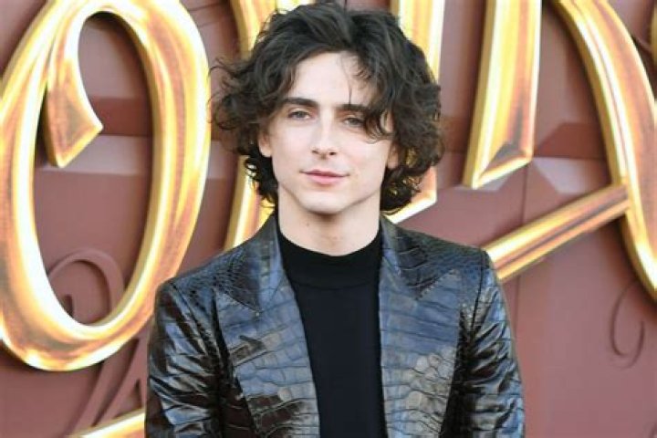 Is Timothee Chalamet Jewish Details On Ethnicity Religion And Family Of Actor