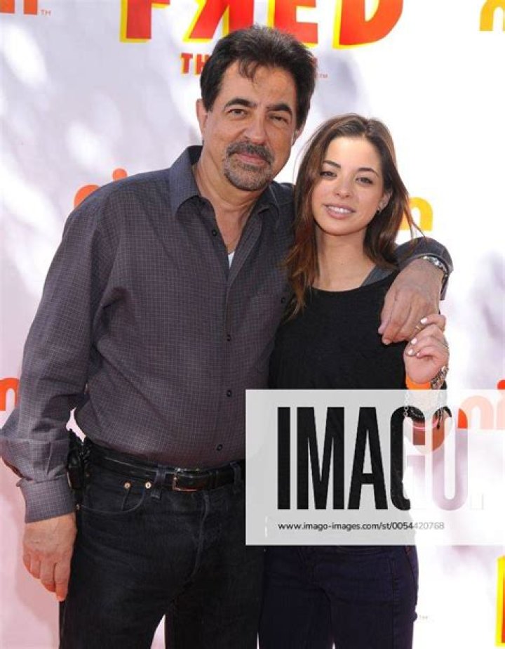 Joe Mantegna Stroke, Movies and TV Shows, Young, Ethnicity, Weight Loss
