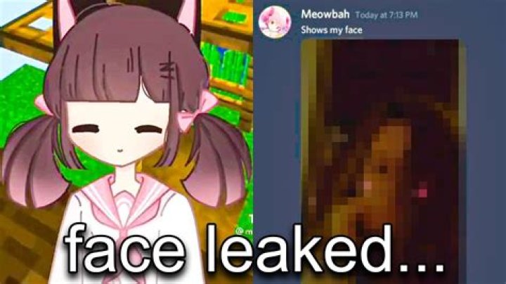 Meowbahh Doxxed Face Reveal And Other Details To Know: How Does She Look Like?