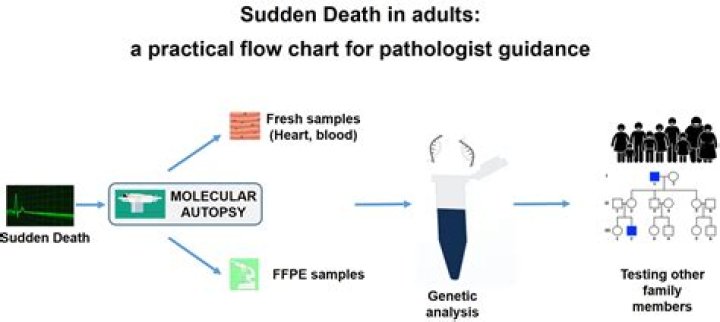 Michael Chapdelaine Obituary: Sudden And Unexpected Death Of Gutarist