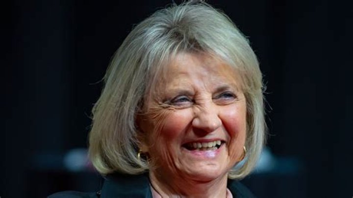 Mike Ilitch Net Worth, Income, Salary, Earnings, Biography