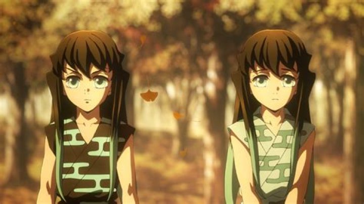 Muichiro Tokito Father Name Brother Name Yuichiro Tokito And Family