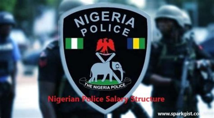 Nigerian Police Salary Structure