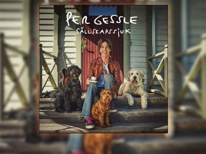 Per Gessle’s Net Worth, Biography, Career, Awards, Fact and Life Story