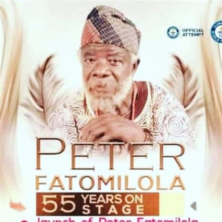 Peter Fatomilola’s biography, net worth, fact, career, awards and life story