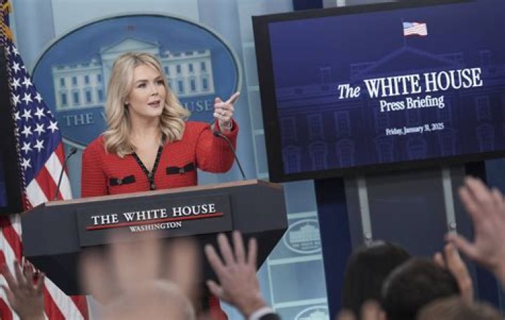 Sonia Dridi Wikipedia Age: Everything To Know