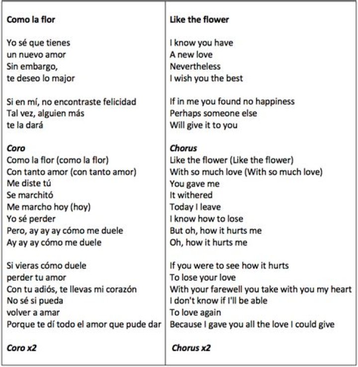 TikTok: Con Flores Song & English Lyrics Translation