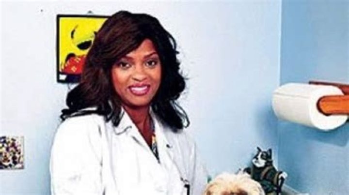 Tim Pelt Net Worth, Income, Salary, Earnings, Biography