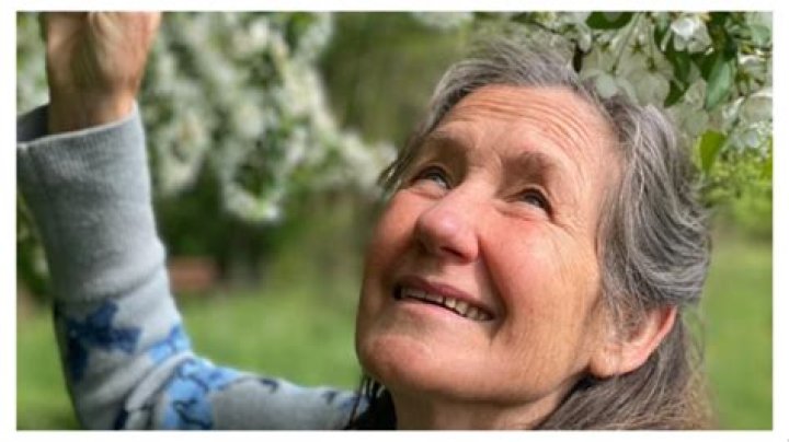 Tyler O’Neill Age, Wikipedia, Biography, Children, Salary, Net Worth, Parents.