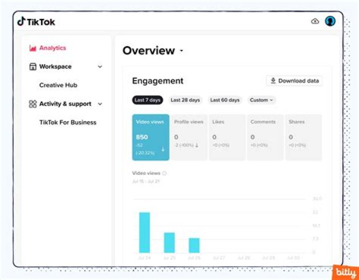 What Are Tiktok Views And Follow Bot On Replit And How Does It Work? Know About Its Uses And Functions