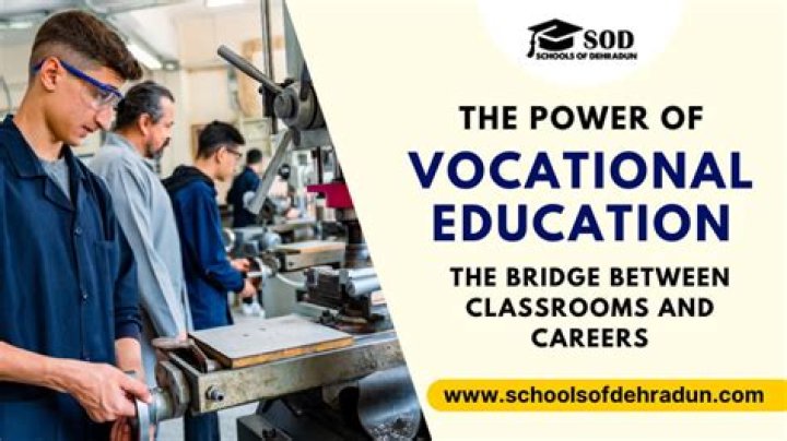 What does vocational plan mean