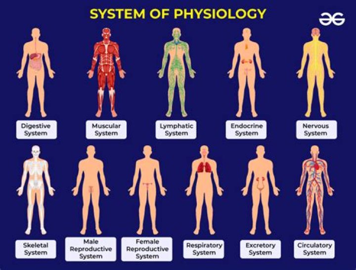 What is the definition of physiology
