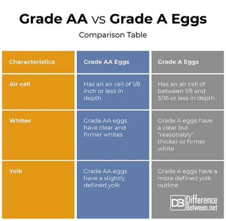 What is the Difference Between Grade A Eggs and AA Eggs