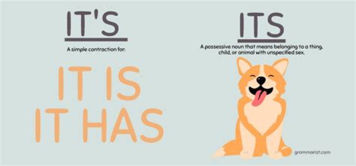 What is the Difference Between Its and It’s