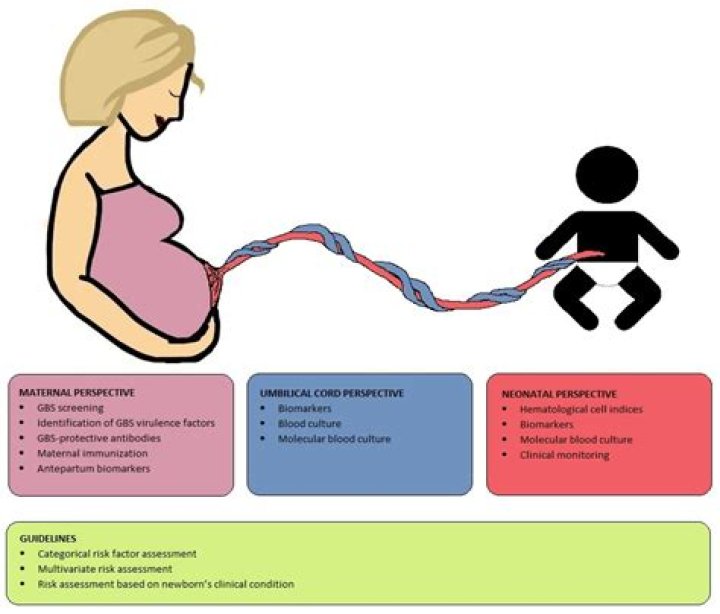 What is the Difference Between Stillbirths and Miscarriages
