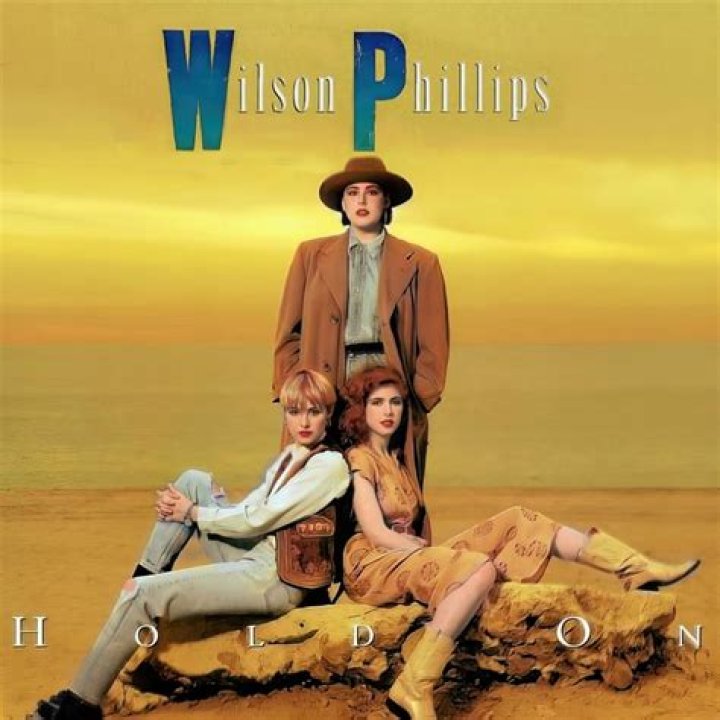 What movie was Hold On by Wilson Phillips in?